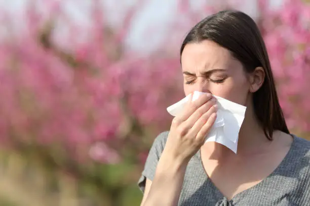 Photo of Woman blowing on tissue suffering allergy in spring in a field