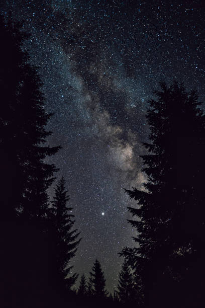 istock Night sky with the Milky Way over the forest 1308954256