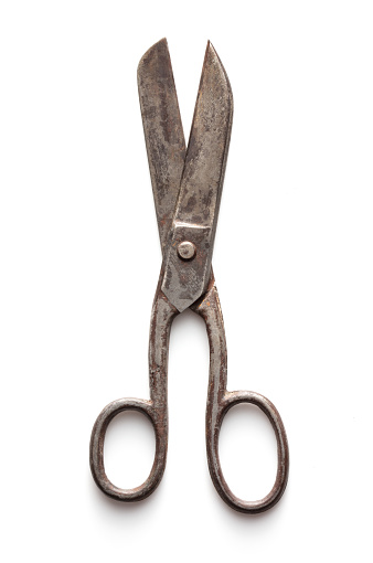 Old tailor's scissors on white background