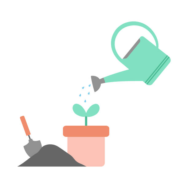 illustrazioni stock, clip art, cartoni animati e icone di tendenza di giardinaggio concetto impianto di irrigazione, design piatto, illustrazione vettoriale - watering can illustrations