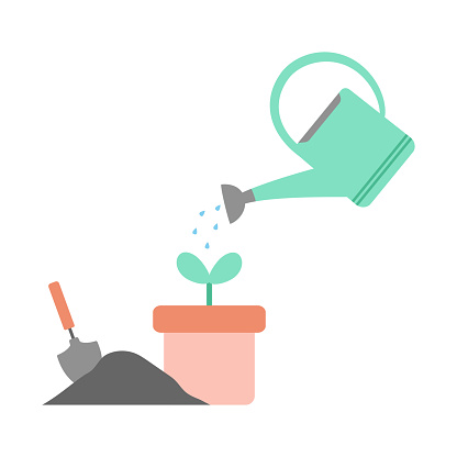 watering can watered plant in flowerpot, vector illustration, gardening concept with plant, soil, trowel and watering can