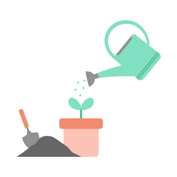 gardening concept watering plant, flat design, vector illustration watering can watered plant in flowerpot, vector illustration, gardening concept with plant, soil, trowel and watering can watering can stock illustrations