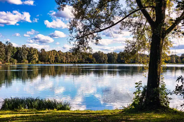 Lake in Summertime by Munich Germany