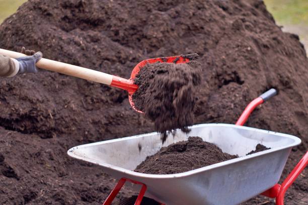 solo de adubo em um carrinho de mão - gardening shovel digging flower bed - fotografias e filmes do acervo