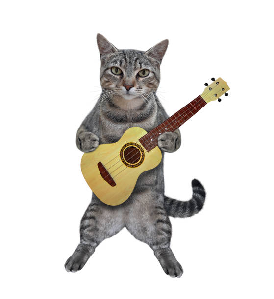 istock Cat gray stands with acoustic guitar 1308961822