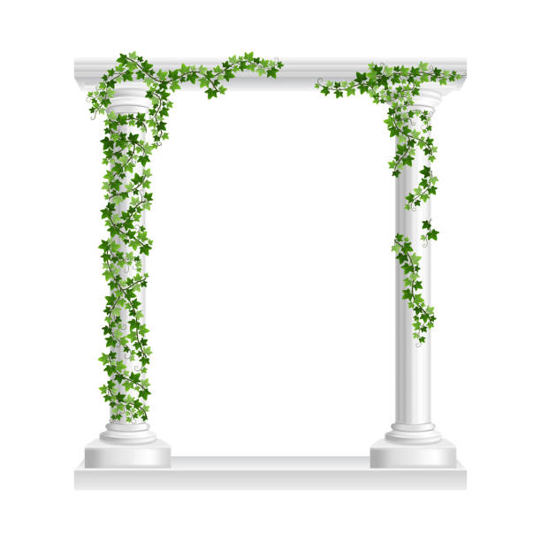 白い背景に分離された緑のツタクリーパーの柱を持つ大理石のローマのアーチ。つる登りの石柱を持つ寺院のフレーム。建築上のクレプト植物のリアルな3dベクトルイラスト - ivy vine leaf frame点のイラスト素材／クリップアート素材／マンガ素材／アイコン素材