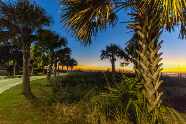 istock Nighttime View Of The Myrtle Beach Boardwalk 1308969998
