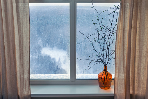 Branches of a tree with buds and blooming spring leaves stand in a vase at the winter window