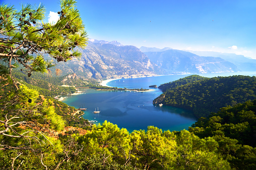 View from the mountain to the blue water surface of Oludeniz Lagoon near Fethiye, Turkey. Mountain woody coast of Mediterranean sea, branches of pine-trees on foreground