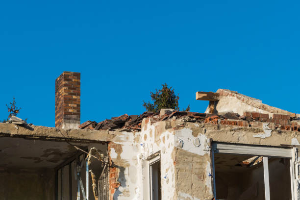 istock Ruin of a House 1308981707