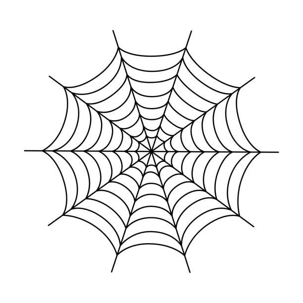 ilustraciones, imágenes clip art, dibujos animados e iconos de stock de tela de araña simétrica. telaraña de araña de halloween aislada sobre fondo blanco. ilustración vectorial - telaraña
