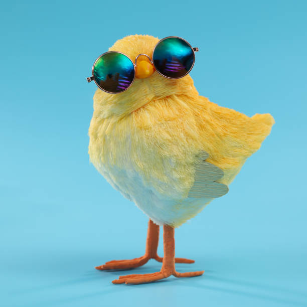 décoration de pâques d’un poussin jaune utilisant des lunettes de soleil idiotes. - easter chicks photos photos et images de collection