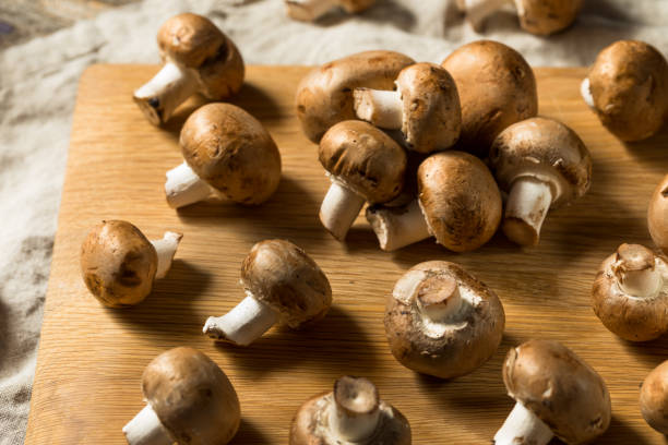 istock Raw Brown Organic Baby Bella Mushrooms 1308986789