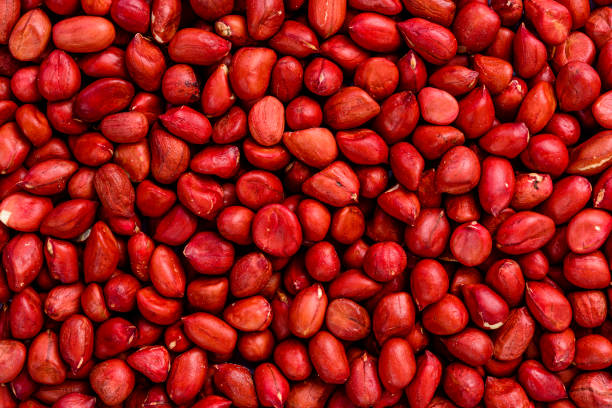 M U Rind 30,600+ Nut Rind Stock Photos, Pictures & Royalty-Free Images - iStock