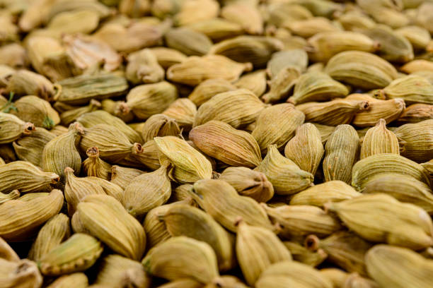 istock Full frame of cardamom seeds. Selective focus 1308988408