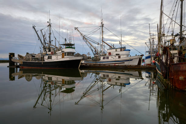 istock Moored Commercial Fishboats 1308990308