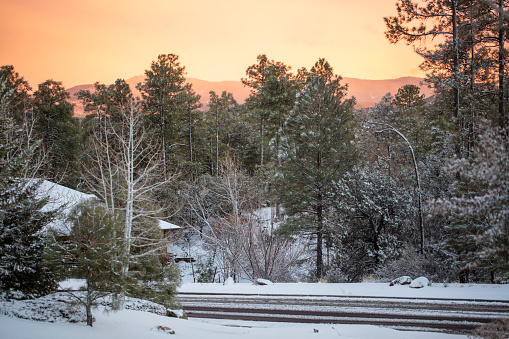 Beautiful snow after a storm in the mountains of Prescott, Arizona in a local community