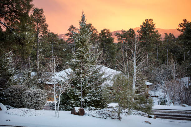 winterschnee in den bergen von prescott, arizona nach einem sturm - snowpack stock-fotos und bilder