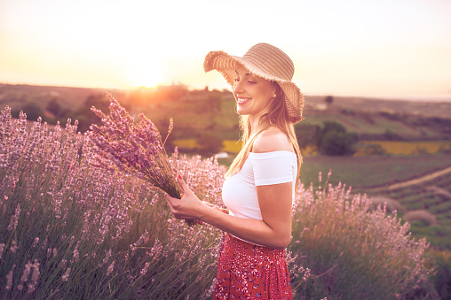 Charming beautiful young woman with a hat in a purple lavender field at sunset. Picks and smells flowers.