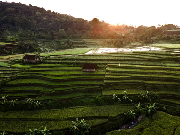 istock Indonesian village 1308996377