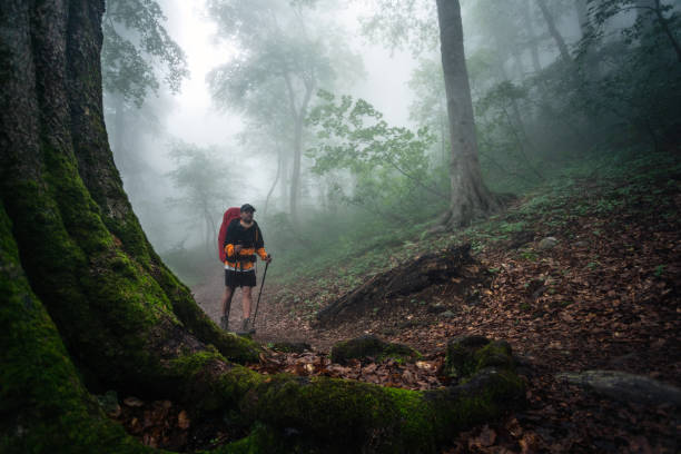 istock Hiker on the walk in the mysterious forest 1309001169
