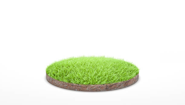 istock 3d rendering. Round soil ground cross section with green grass on white background. 1309005461