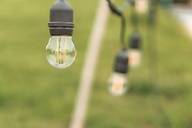 istock Light bulb on the green garden 1309007152