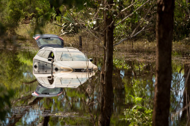auto bloccata in acque alluvionali su una strada a windsor, australia - floodwaters foto e immagini stock