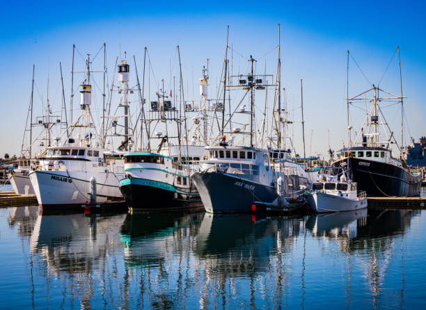 istock San Diego Marina 1309010973
