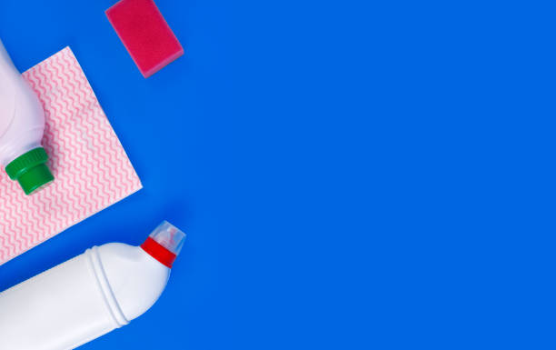 istock Cleaning products and supplies 1309011745