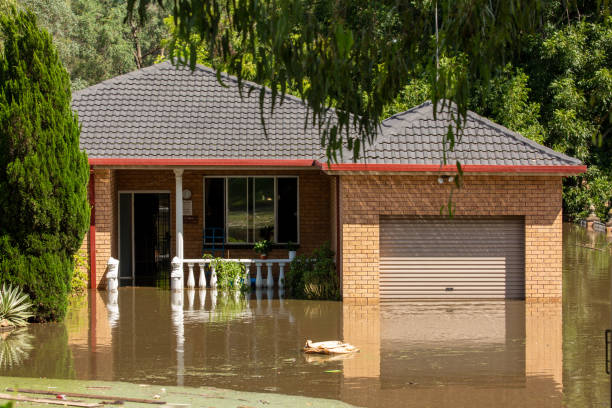 case circondate dalle crescenti acque alluvionali marzo 2021 a windsor - floodwaters foto e immagini stock