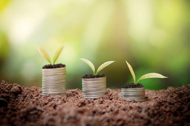 istock business investment or saving concept 1309012398