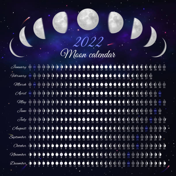 Moon phase calendar 2022 year month cycle planner Moon phase calendar 2022 year month cycle planner. Lunar phases banner, poster, card design template, moon schedule calendar on background of night starry sky vector illustration moon backgrounds stock illustrations