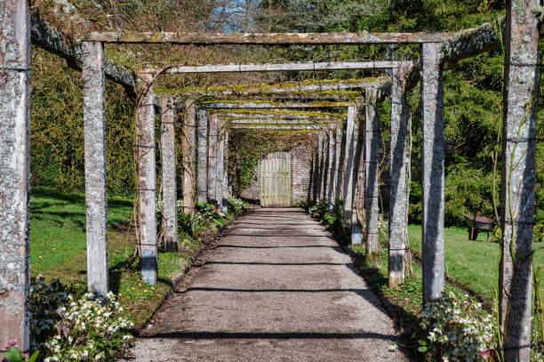 istock Covered Garden Trellis 1309018812