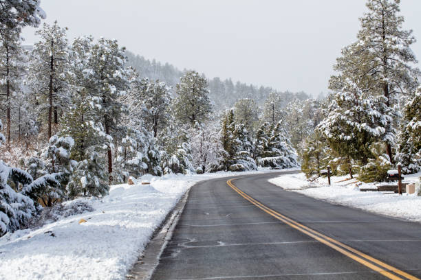 winterschnee in den bergen von prescott, arizona nach einem sturm - snowpack stock-fotos und bilder