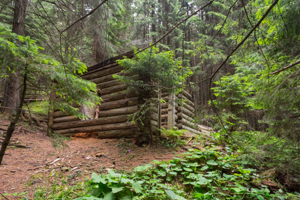 istock small abandoned wooden house in a forest 1309019765