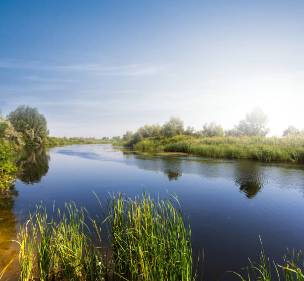 istock early morning on a river 1309019914