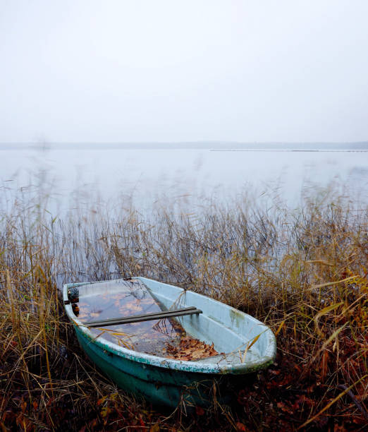 This small fishing boat on the shore of a lake is filled with rainwater. Leaves from trees can be seen in it. The reeds move due to the light wind and create a blurry effect.