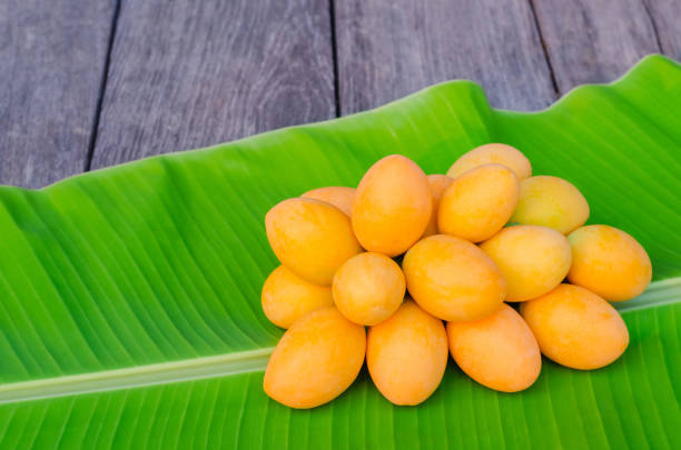 istock Marian plum or Ma Yong Chid on banana leaf background. 1309021748