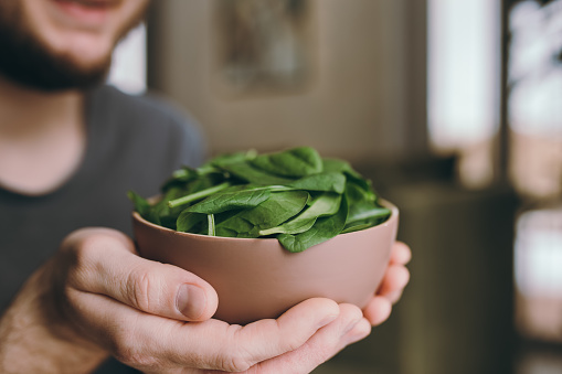 Hands of man holding fresh green salad leaves of spinach on blurred background. Healthy vegetarian eating concept. Green leaves of spinach. Gifts of nature. Blessed harvest. High quality photo