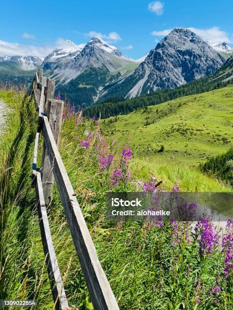 Arosa Scenery Stock Photo - Download Image Now - Arosa, Mountain Range, Switzerland