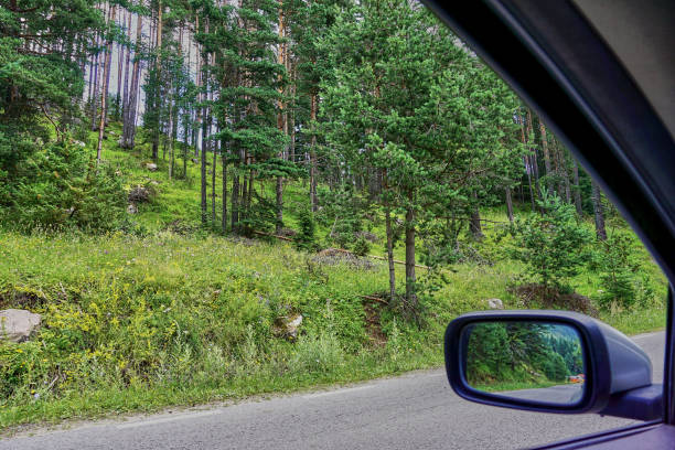 istock The car journey in nature 1309027017