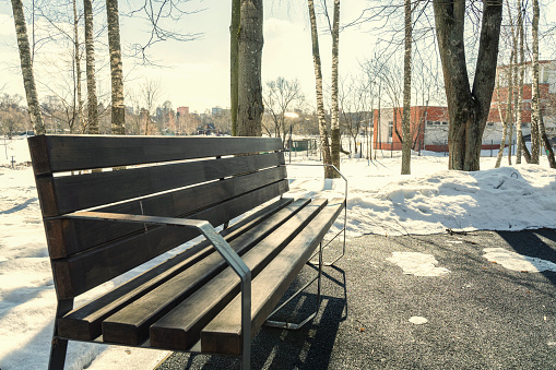 empty bench in winter park. winter day