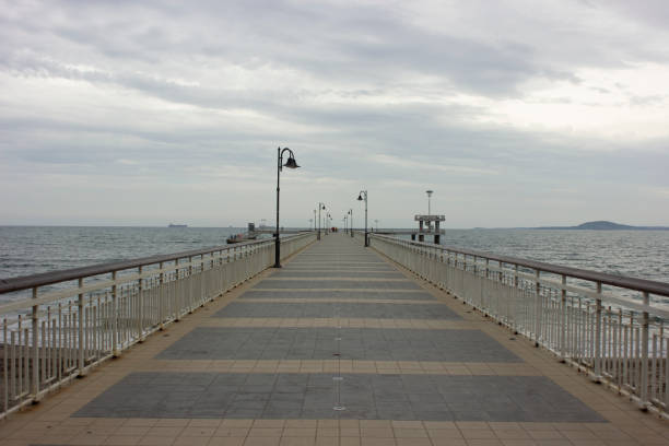 istock bridge in the sea 1309028003