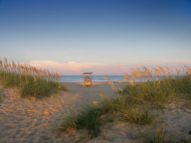Outer Banks Hatteras Island Beach I captured this beautiful natural landscape on our trip in the Outer Banks in North Carolina. This nearly unoccupied sandy path and beach of Cape Hatteras of the Outer Banks depicts the Atlantic Ocean and sunset shining on the beach grass, vacant lifeguard post, and clouds at the horizon. marram grass stock pictures, royalty-free photos & images