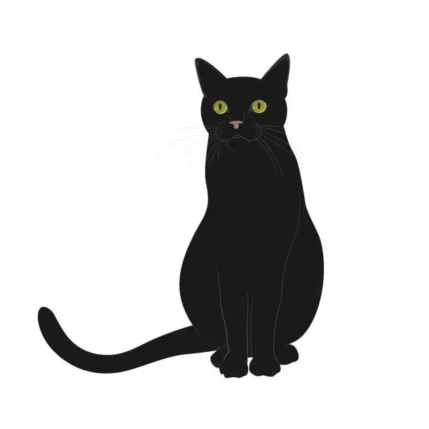Vector illustration of A black smooth-haired cat with large green eyes is sitting. Isolated on a white background. Vector illustration in cartoon style.