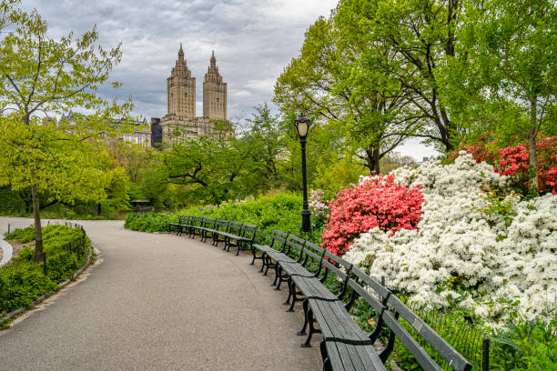Central Park in spring stock photo