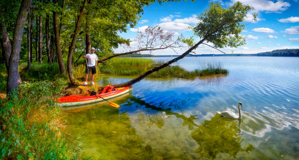 The beauty of nature on a clear summer day