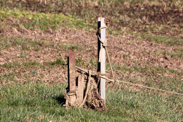 istock Rusted small old metal poles covered with dirt and dry soil used as support for tied string at home urban garden 1309043219