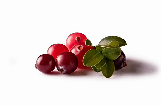 cranberry isolated on white background. macro photo. Fresh lingonberry with leaves.